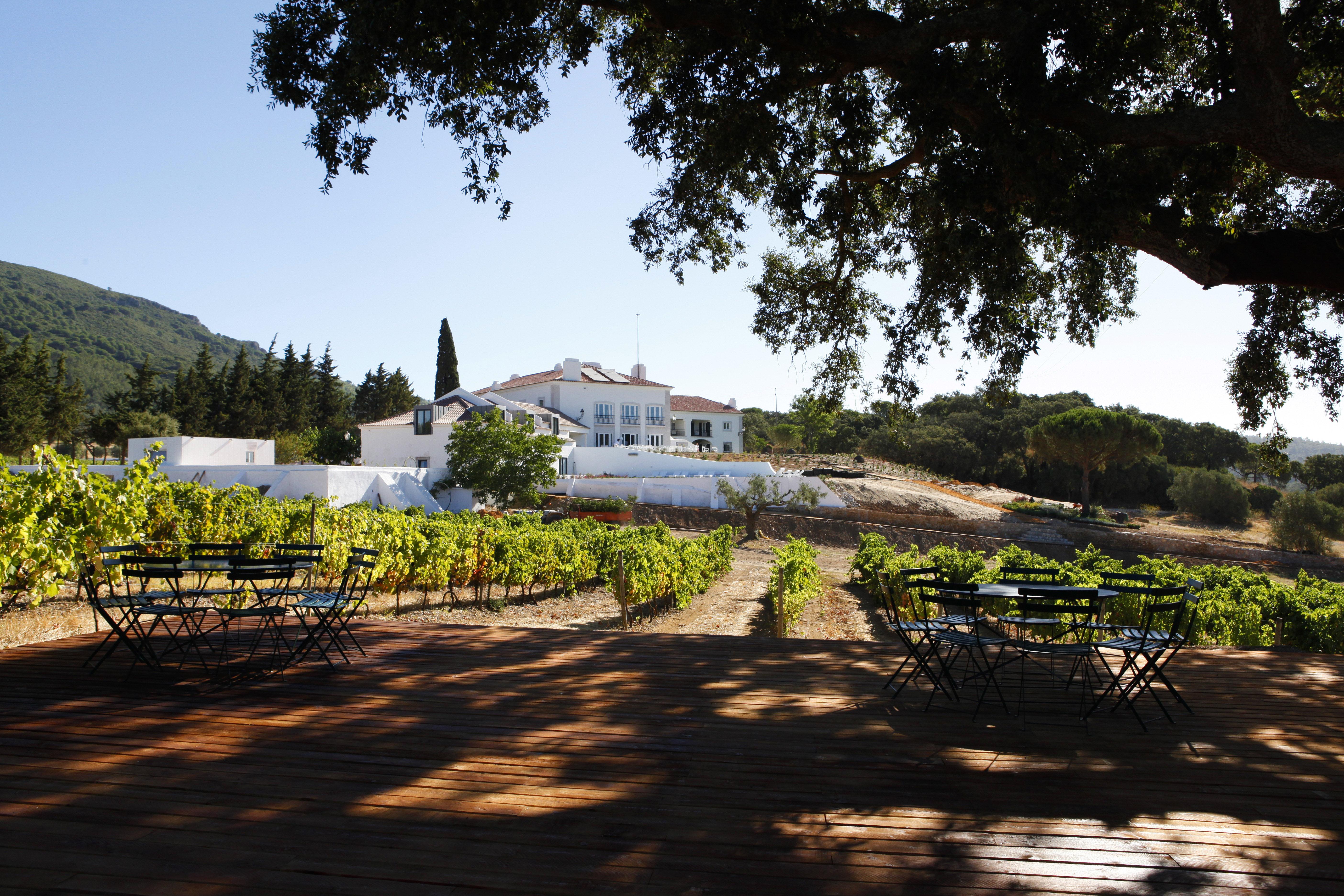 Hotel Casa Palmela - Small Luxury Hotels Of The World, Hotel & Villas Setúbal Zewnętrze zdjęcie